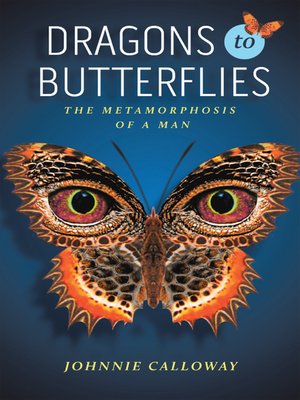 cover image of Dragons to Butterflies